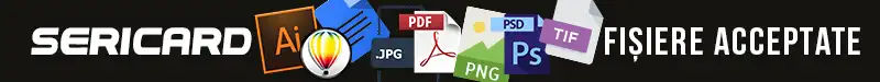 fisiere acceptate