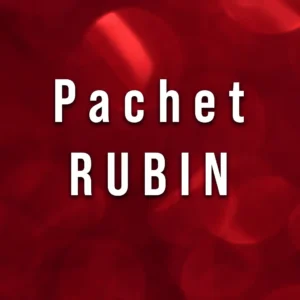 Pachet logo design RUBIN