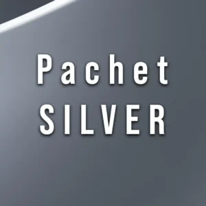 Pachet logo design SILVER