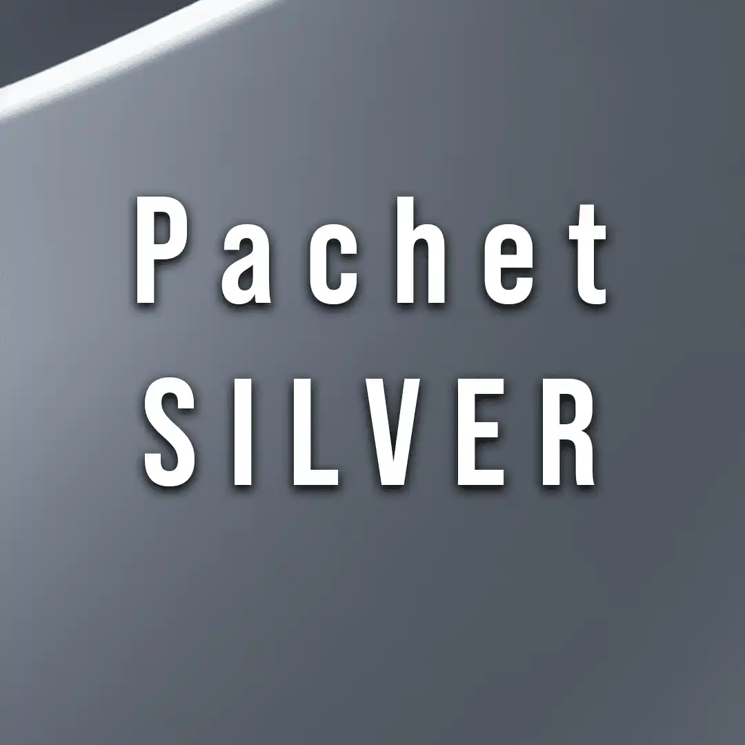 Pachet logo design SILVER
